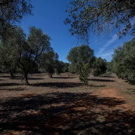 Casa Rizzini Giuggianello