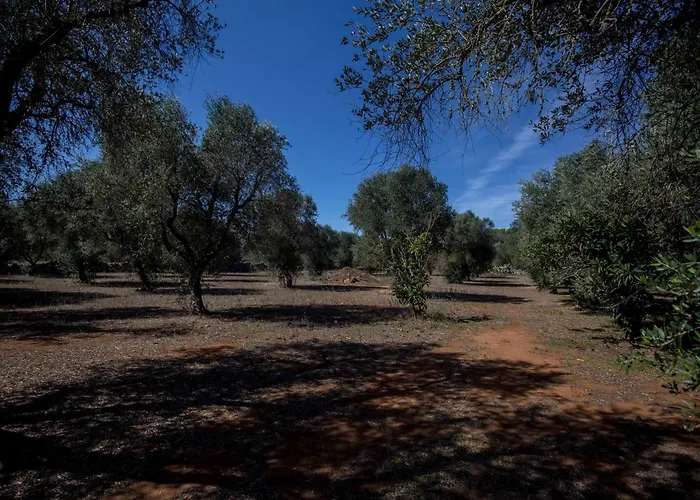 Casa Rizzini Giuggianello